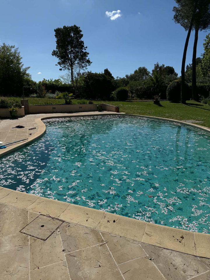 Piscine couverte de pétales et de débris avant nettoyage