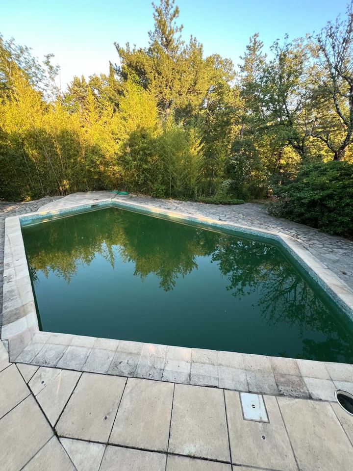 Piscine à l'eau verte avant intervention